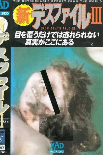 Póster de New Death File III