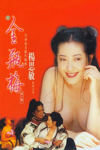 Póster de New Jin Pin Mei I