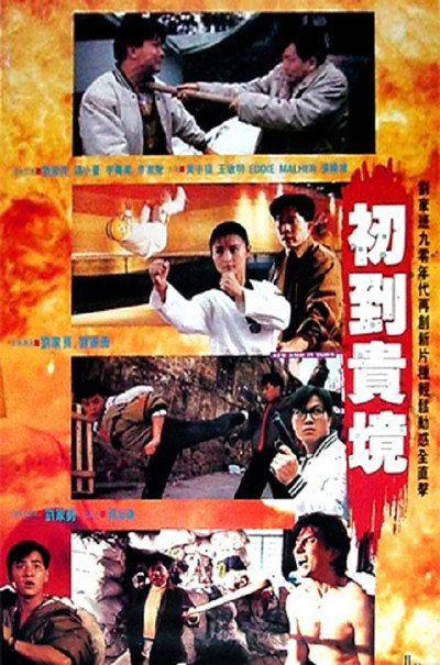 Póster de New Kid in town