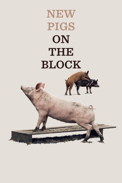 Póster de New Pigs on the Block