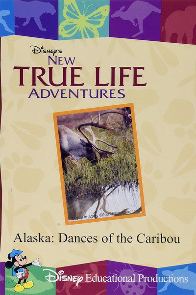 Póster de New True Life Adventures: Alaska: Dances of the Caribou
