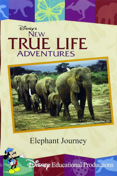 Póster de New True Life Adventures: Elephant Journey