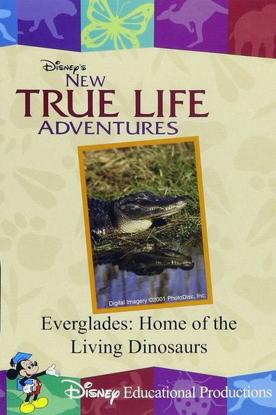 Póster de New True Life Adventures: Everglades: Home of the Living Dinosaurs