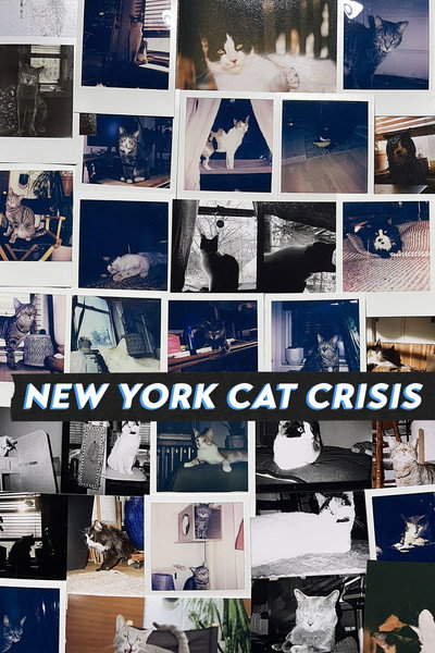 Póster de New York Cat Crisis