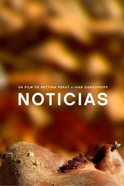 Póster de News