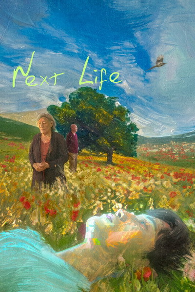 Póster de Next Life
