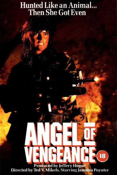 Póster de Ángel de la venganza