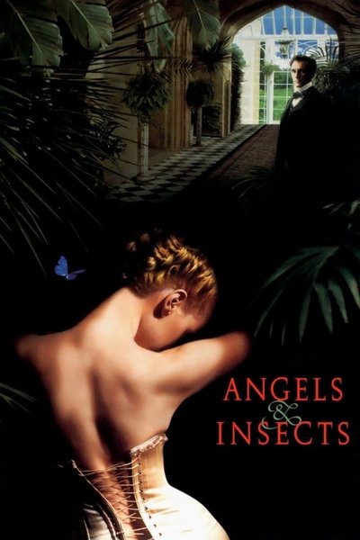 Póster de Ángeles & insectos