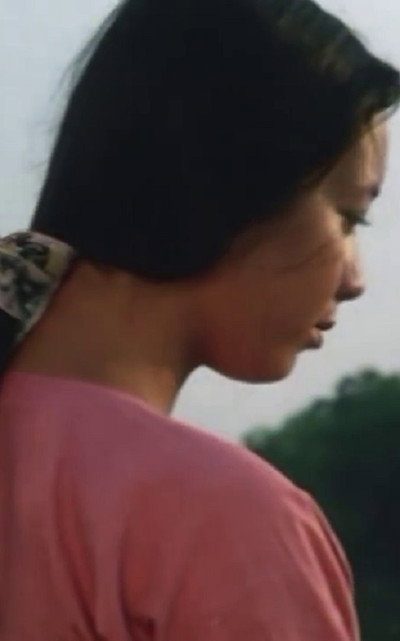 Póster de Nguoi Yêu Di Lây Chông
