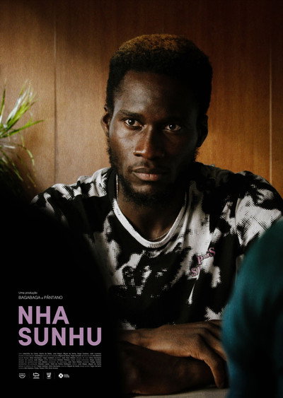 Póster de Nha Sunhu