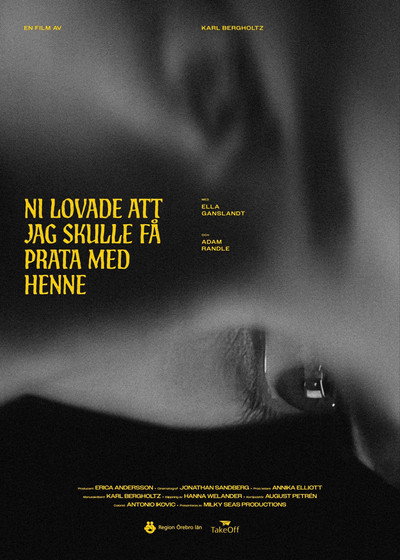 Póster de Ni lovade att jag skulle få prata med henne