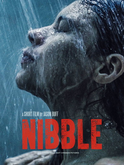 Póster de Nibble
