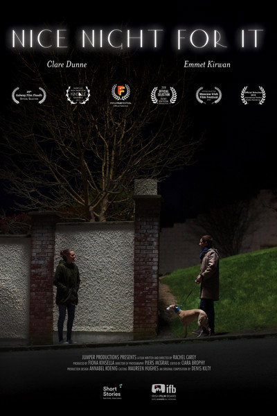 Póster de Nice Night for It