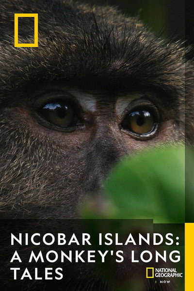 Póster de Nicobar Islands: A Monkey's Long Tale