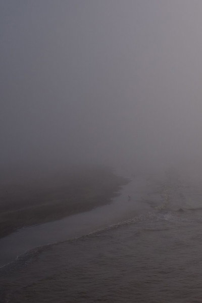 Póster de Niebla