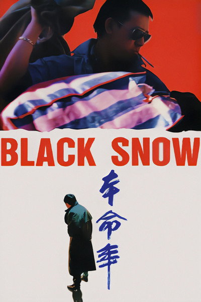 Póster de Nieve negra