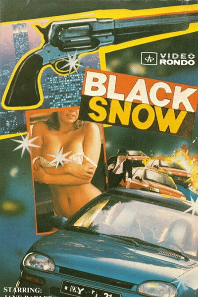 Póster de Nieve negra