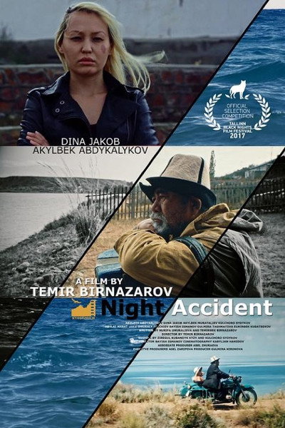 Póster de Night Accident