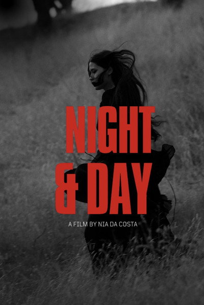 Póster de Night and Day