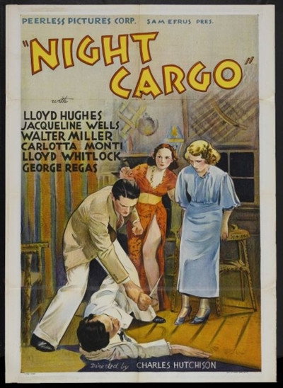 Póster de Night Cargo