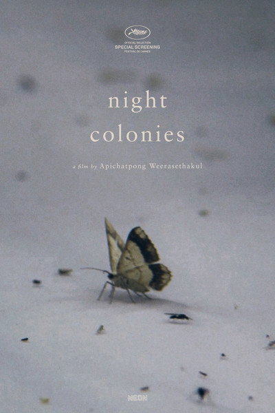 Póster de Night Colonies