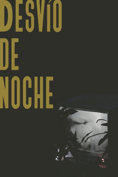Póster de Night Detour