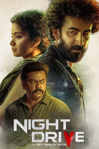 Póster de Night Drive