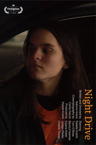 Póster de Night Drive
