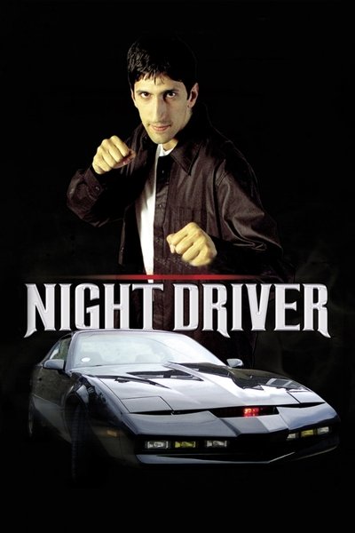 Póster de Night Driver