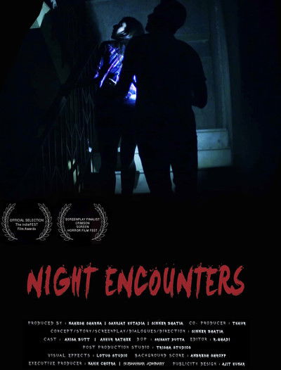 Póster de Night Encounters