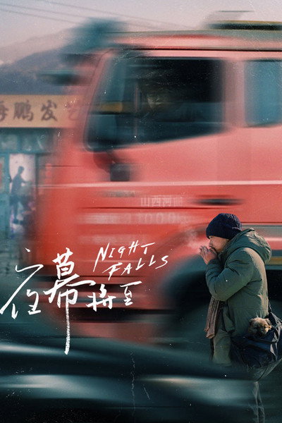 Póster de Night Falls