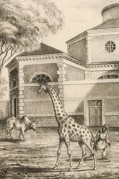 Póster de Night Falls on the Menagerie