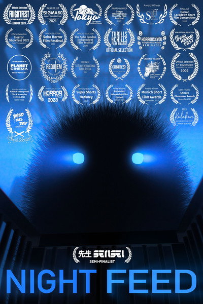 Póster de Night Feed