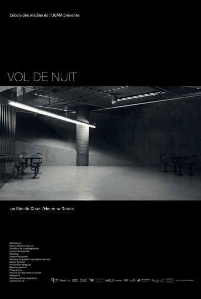 Póster de Night Flight