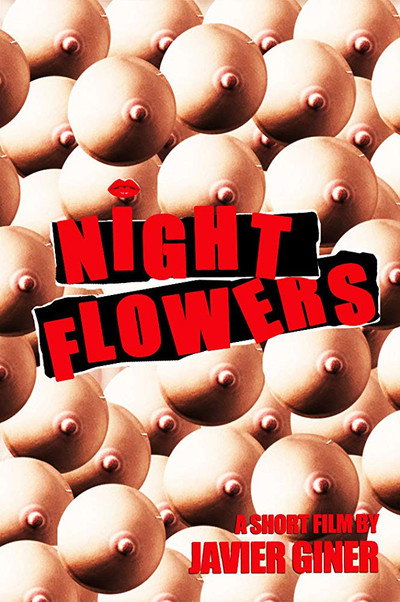 Póster de Night Flowers