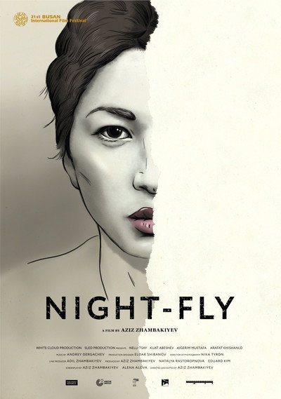 Póster de Night-Fly