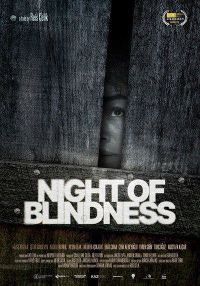 Póster de Night of Blindness