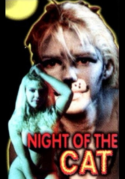 Póster de Night of the Cat