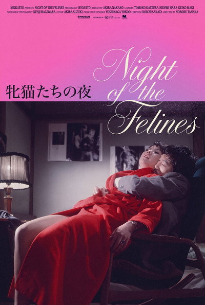 Póster de Night of the Felines