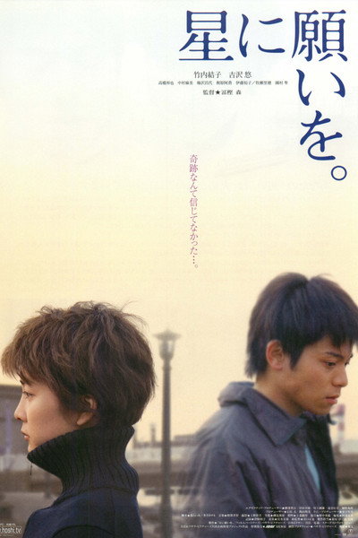 Póster de Night of the Shooting Stars