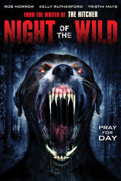 Póster de Night of the Wild