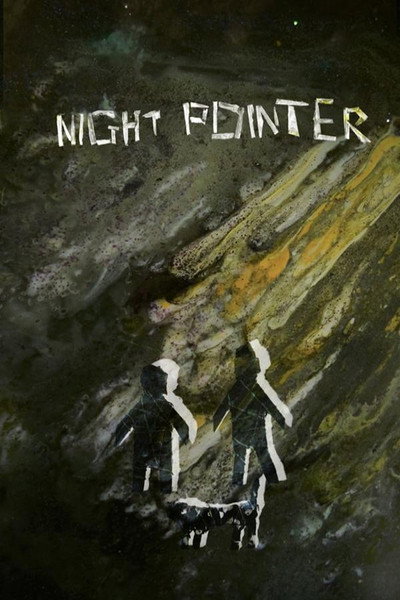Póster de Night Pointer