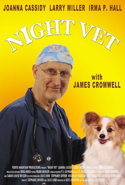 Póster de Night Vet