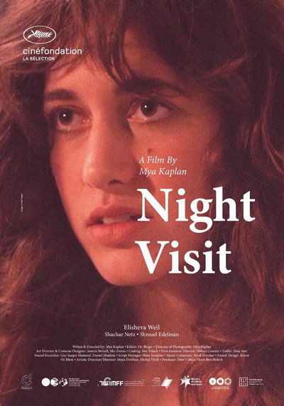 Póster de Night Visit