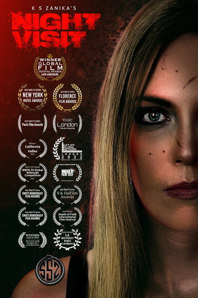 Póster de Night Visit