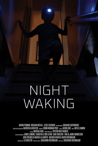 Póster de Night Waking