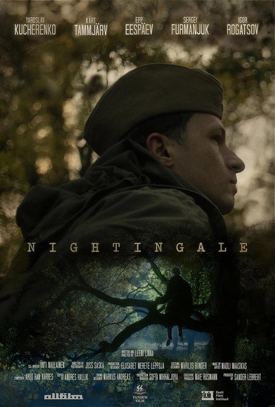 Póster de Nightingale