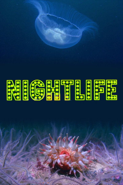 Póster de Nightlife