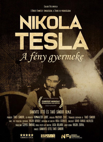 Póster de Nikola before Tesla