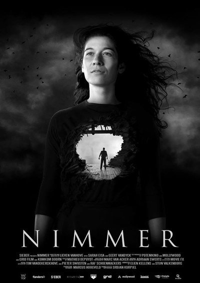 Póster de Nimmer